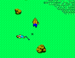 The Ninja screenshot 3 for Sega Master System